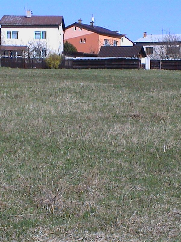 01.DSC00008